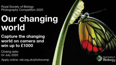 مسابقۀ عکاسی انجمن سلطنتی زیست شناسی ۲۰۲۰ لینک : https://ardabilvas.ir/?p=6360 👇 سایت : ardabilvas.ir اینستاگرام : instagram.com/ArdabilVAS کانال : t.me/ArdabilVAS 👆