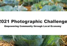 فراخوان مسابقه عکاسی Photographic Challenge ۲۰۲۱ منتشر شد لینک : https://ardabilvas.ir/?p=8846 👇 سایت : ardabilvas.ir اینستاگرام : instagram.com/ArdabilVAS کانال : t.me/ArdabilVAS 👆