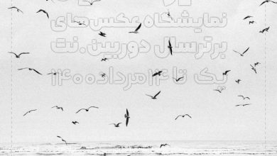 نمایشگاه عکس‌های برتر سال دورببن.نت با حضور عکاسان اردبیلی انجمن هنرهای تجسمی استان اردبیل