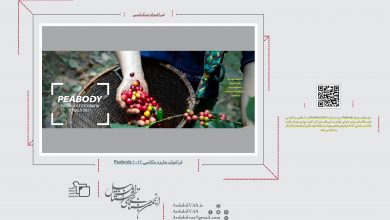فراخوان جایزه عکاسی Peabody 2022 | انجمن هنرهای تجسمی استان اردبیل ـ جامعه تخصصی هنرهای تجسمی