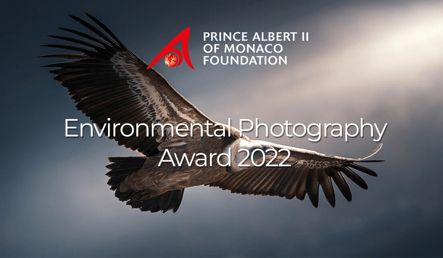 فراخوان عکاسی 2022 Environmental | انجمن هنرهای تجسمی استان اردبیل ـ جامعه تخصصی هنرهای تجسمی