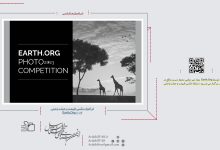 فراخوان عکس طبیعت و حیات وحش Earth.Org 2023 | انجمن هنرهای تجسمی استان اردبیل ـ جامعه تخصصی هنرهای تجسمی